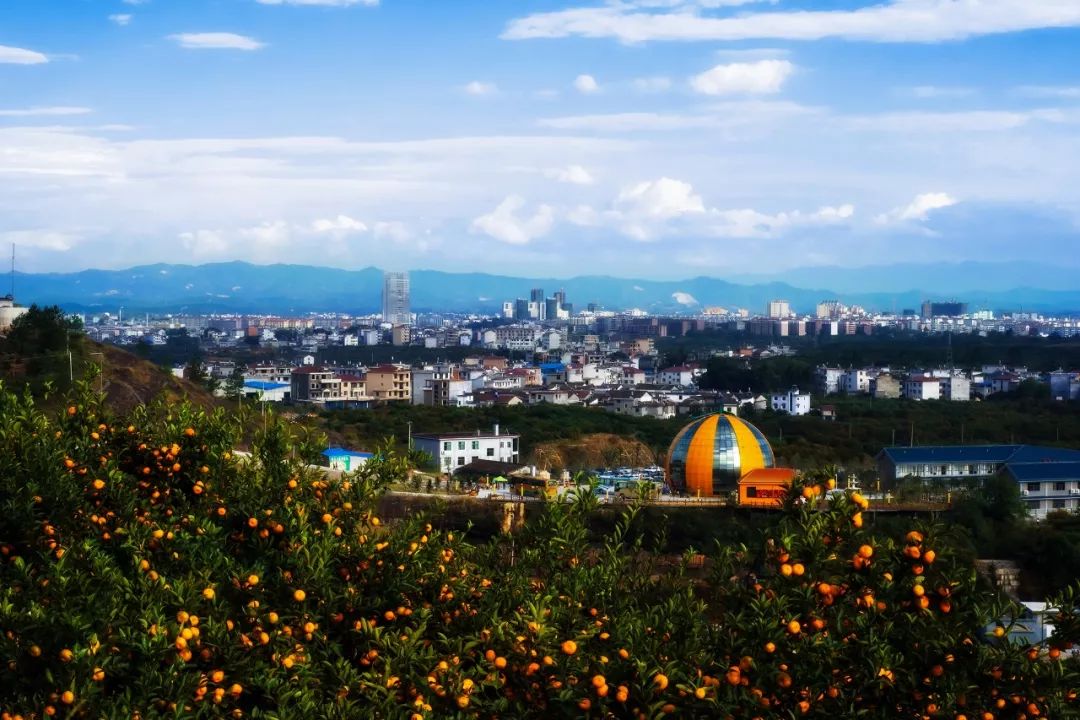 走!乘动车去南丰采蜜桔