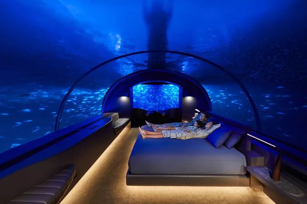 马尔代夫康莱德的水下客房,玻璃用18厘米厚,住一晚要 15 万