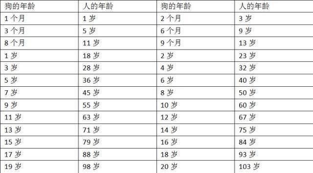 老了的狗如何照顾才正确?