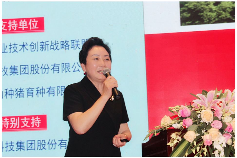 行业大咖聚博鳌各显神通论猪业记2019博鳌猪业科技论坛