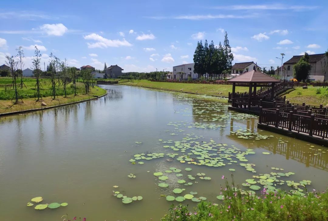 十大"最美河道"榜单出炉,看看你邂逅了身边的哪条河?