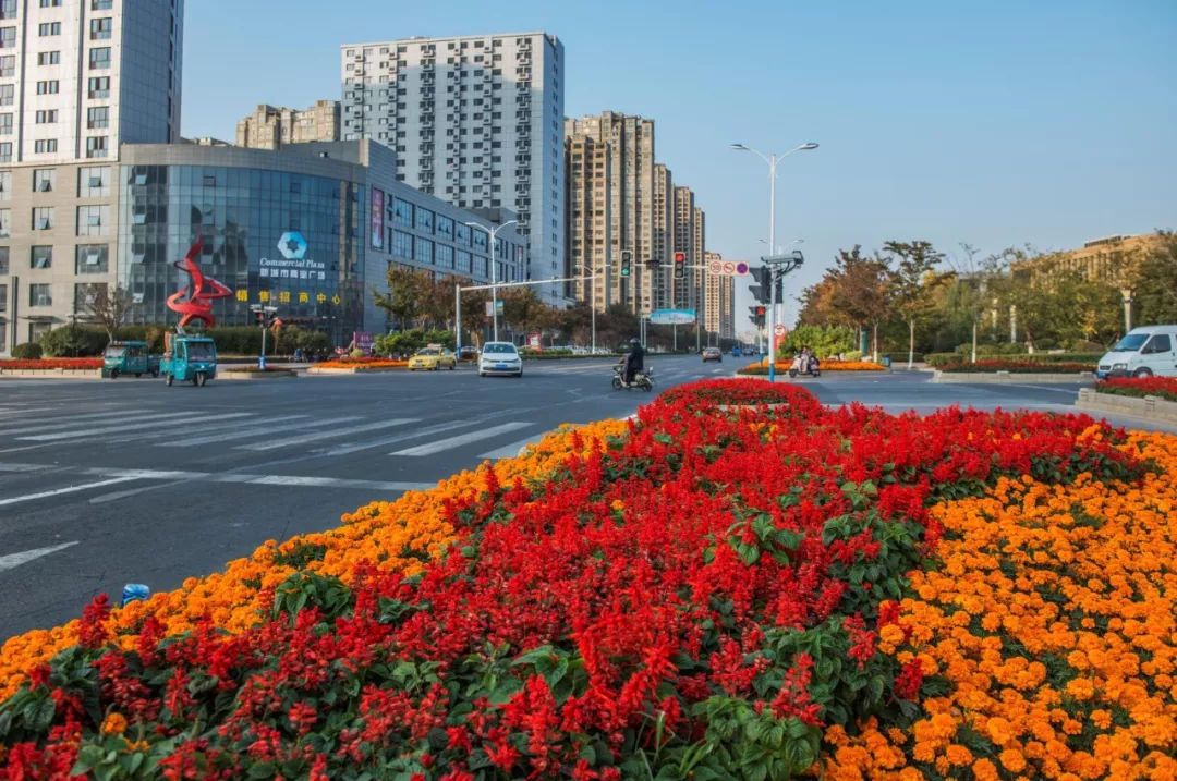 心情舒畅初冬美丽的景色沭阳感受这……道路旁公园里诗情画意充满景色