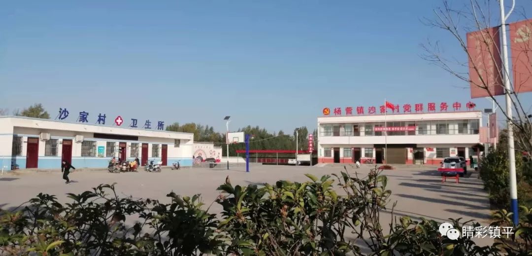 镇平县这个村庄到处都是竹子林!大家都知道这是哪个村吗