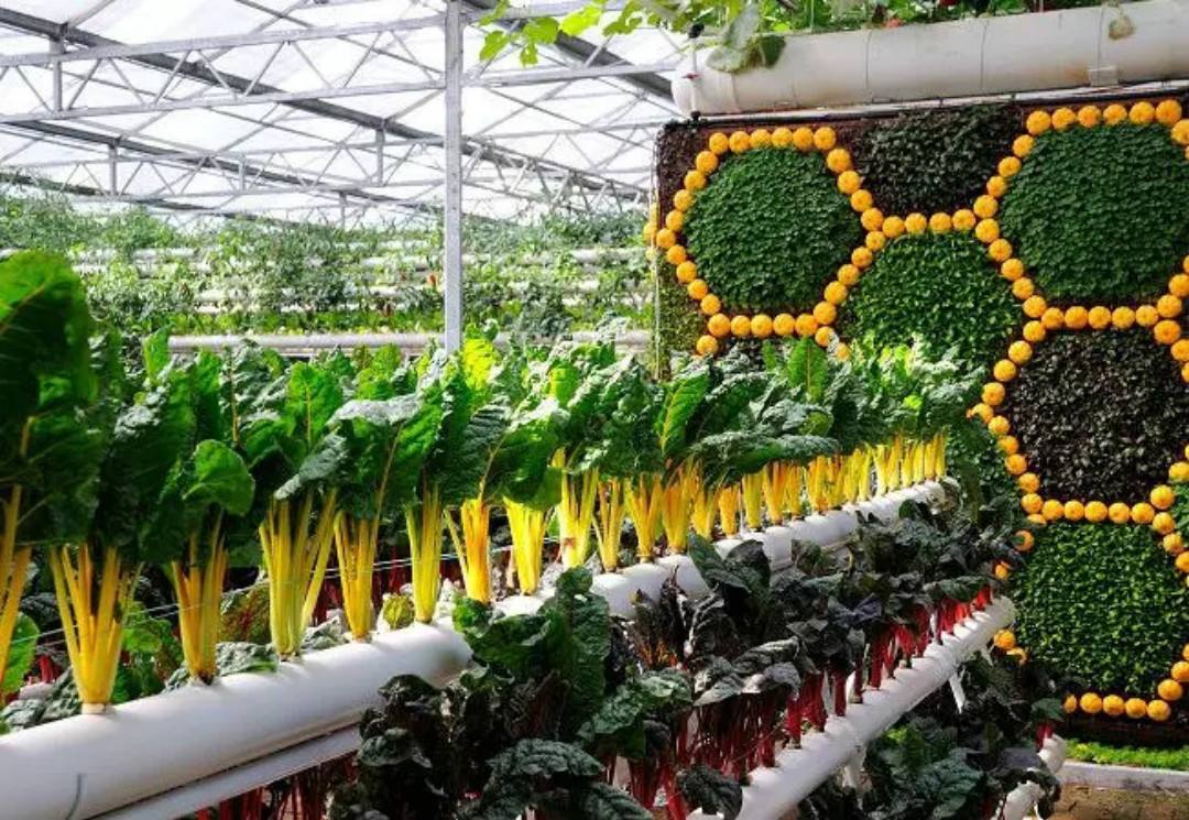 美国的农场化,大型规模化农业适合中国吗?中国农业有什么特点?