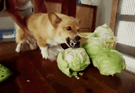 图片[16] - 【xizi·20191207】无休止的劳碌，会让灵魂一贫如洗。 - xizi