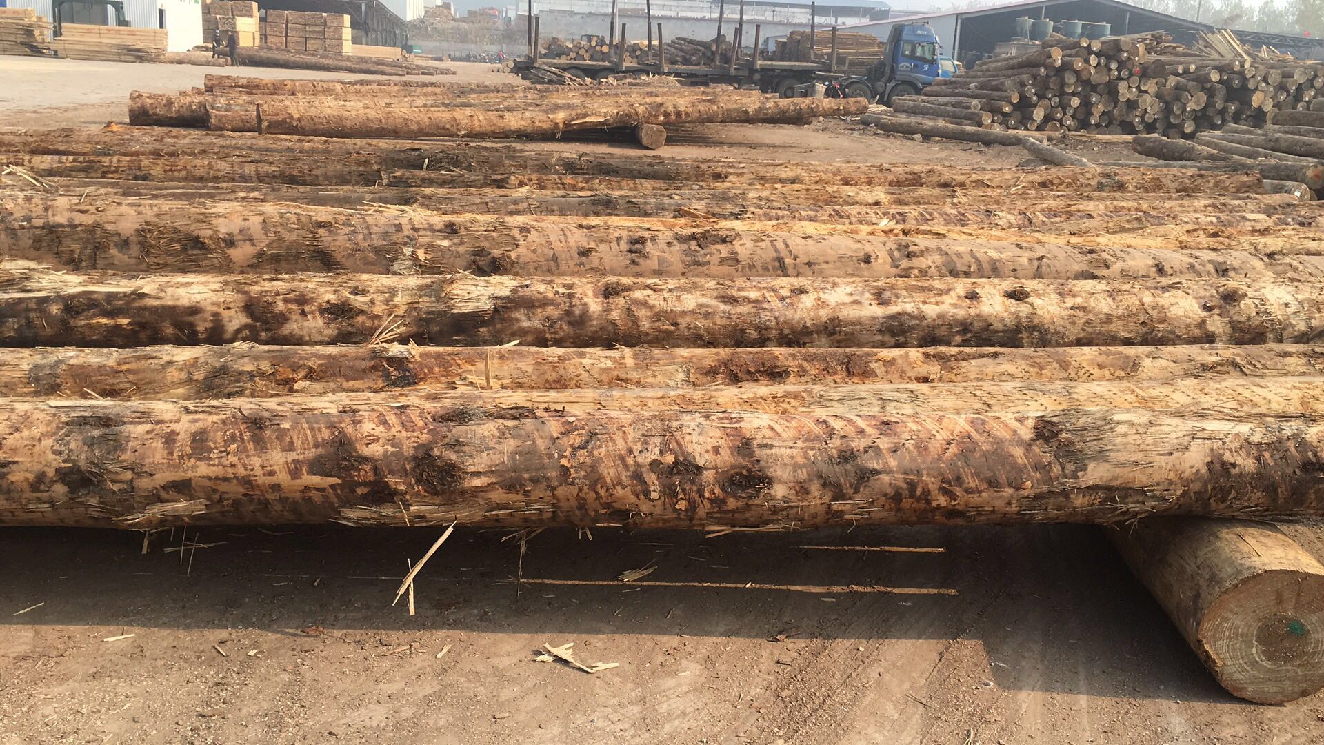 创秋木业资讯:日本木材自给率持续8年上升