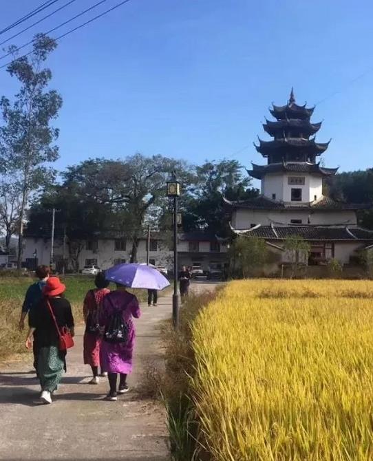 西片村西片村,位于福建龙岩市永定区湖坑镇,是世界文化遗产——福建