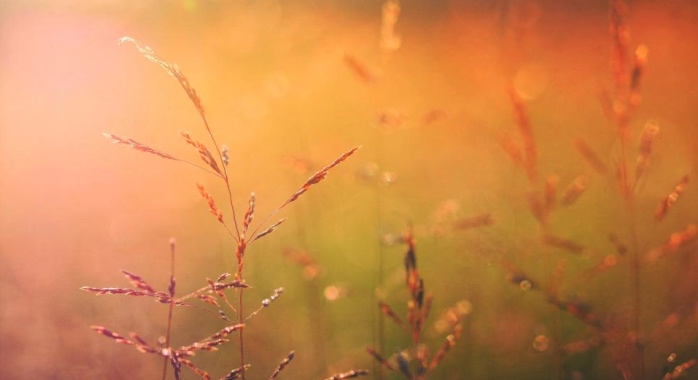 格力空调百亿降价的真相：对内加快渠道出货，对外加速理场小企业-家电圈官网