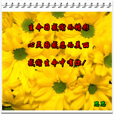 明日感恩节,一首《感恩有你》送给朋友!感谢有你一路相伴