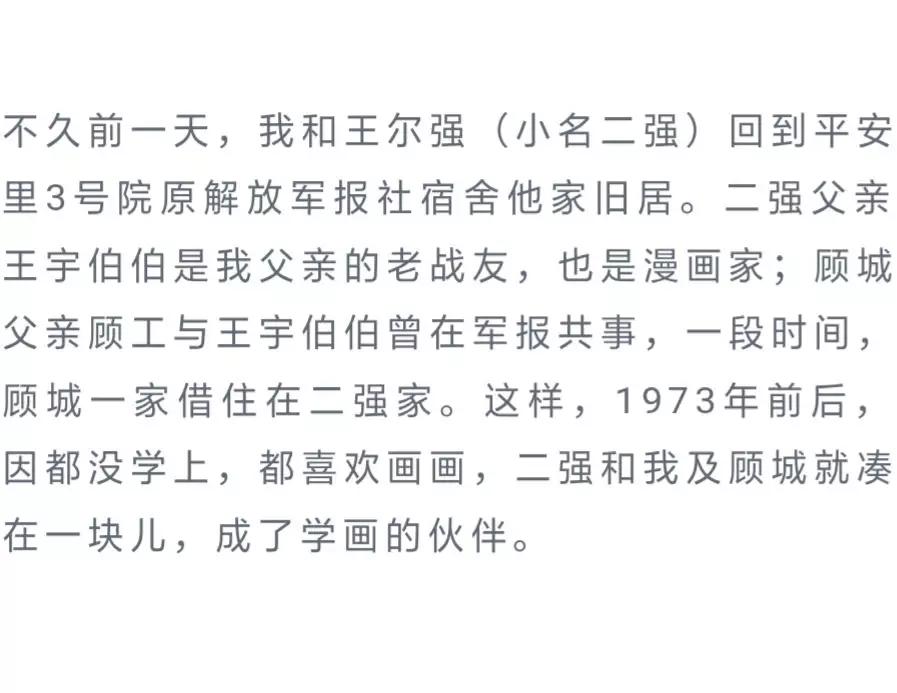 罗雪村丨学画的伙伴兼忆顾城