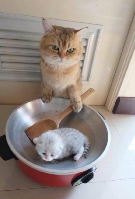 图片[18] - 【xizi·20191207】无休止的劳碌，会让灵魂一贫如洗。 - xizi