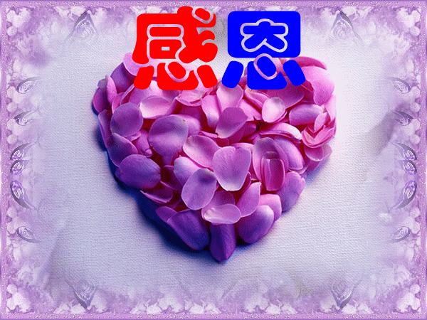 感恩节到了,送你最新最全的聊天的动图,把最美的问候送给你