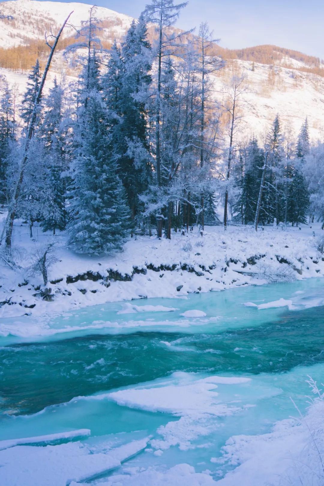 喀纳斯下雪了,陪我去一趟北疆可好?_新疆