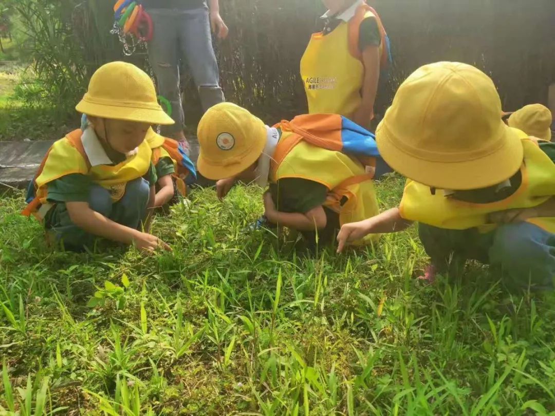 自然课程回顾丨户外的教室让孩子走出去亲近自然