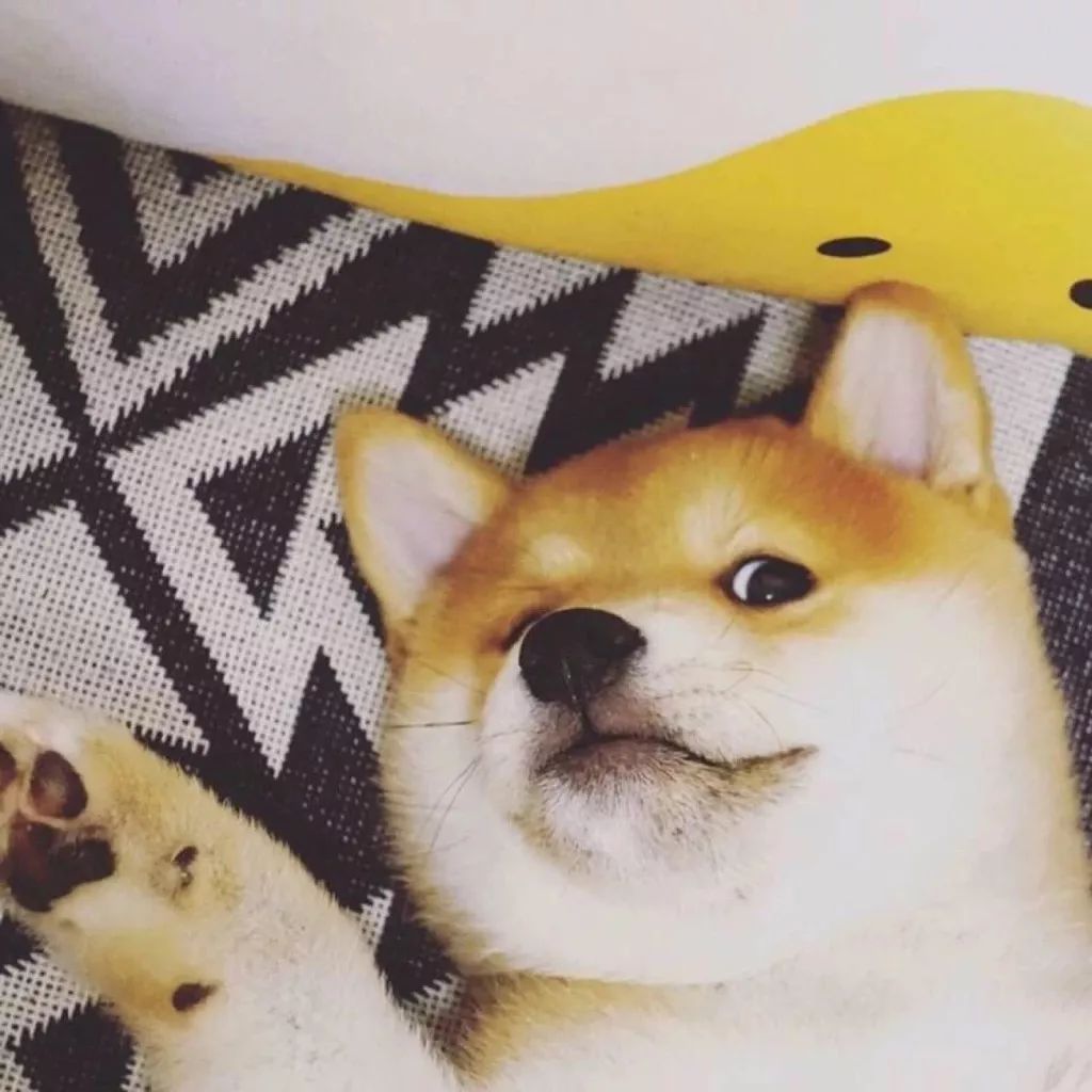 头像我假装放手你却真走了