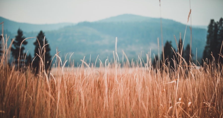 缺陷家电召回迎国家强制时代:质量不合格危害健康的工厂得召回-家电圈官网