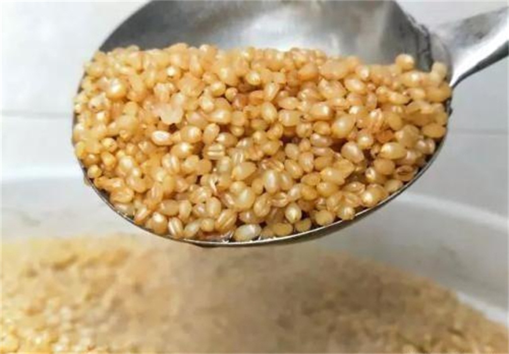 酿酒技术古老的小麦配糟固态工艺与古法酿酒设备的邂逅