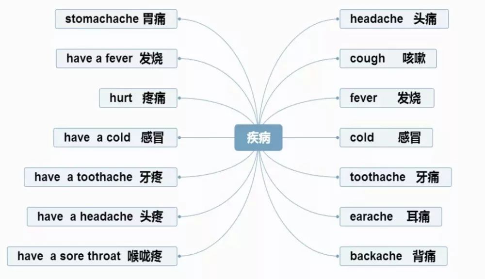 西斯达学员的福利(一-小学英语"超全单词思维导图,送给需要的你!