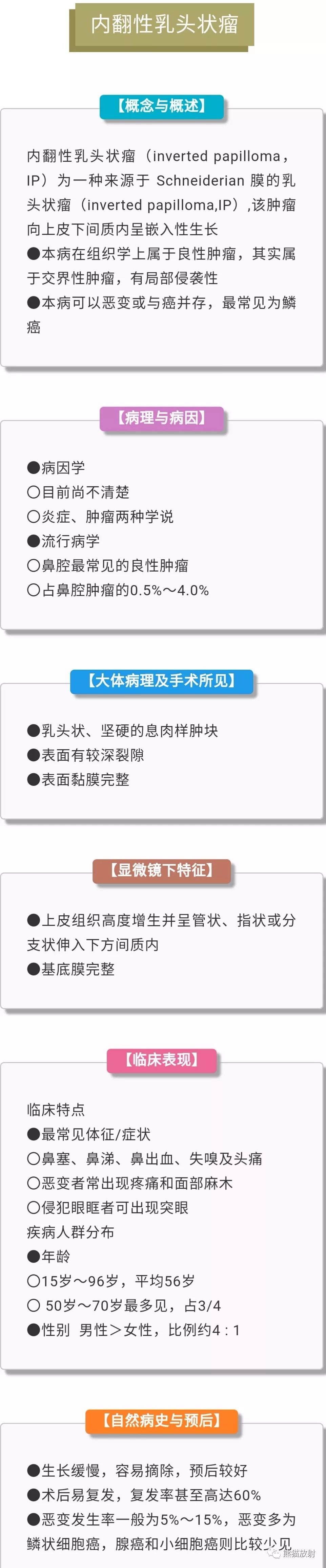 上颌窦病变之内翻性乳头状瘤丨小打卡读片精选29