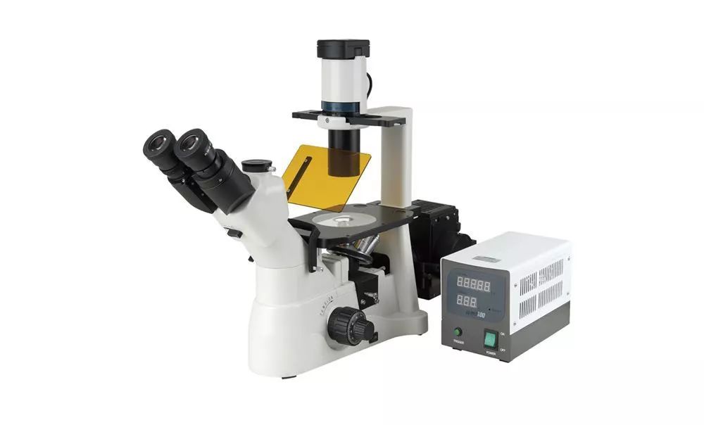 【科创之约】闪耀的细胞们,听令!合体!_实验