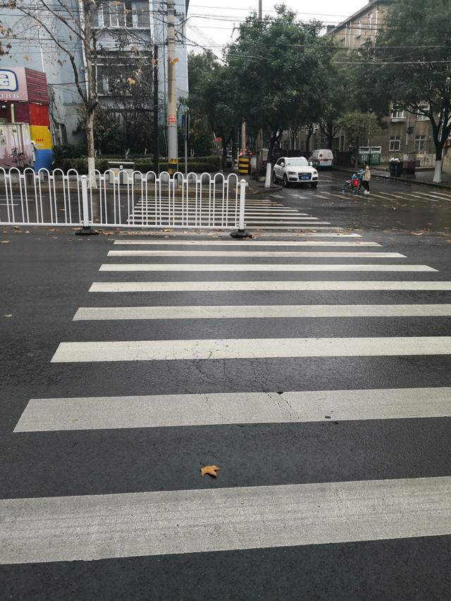 青岛的马路上 护栏与行人的那些故事_斑马线