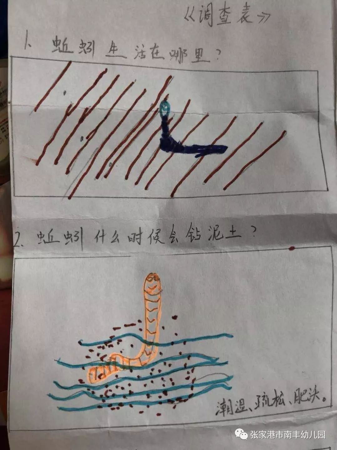 蚯蚓调查表孩子们接踵而至的问题让我们目不暇接,欣喜孩子们能提出