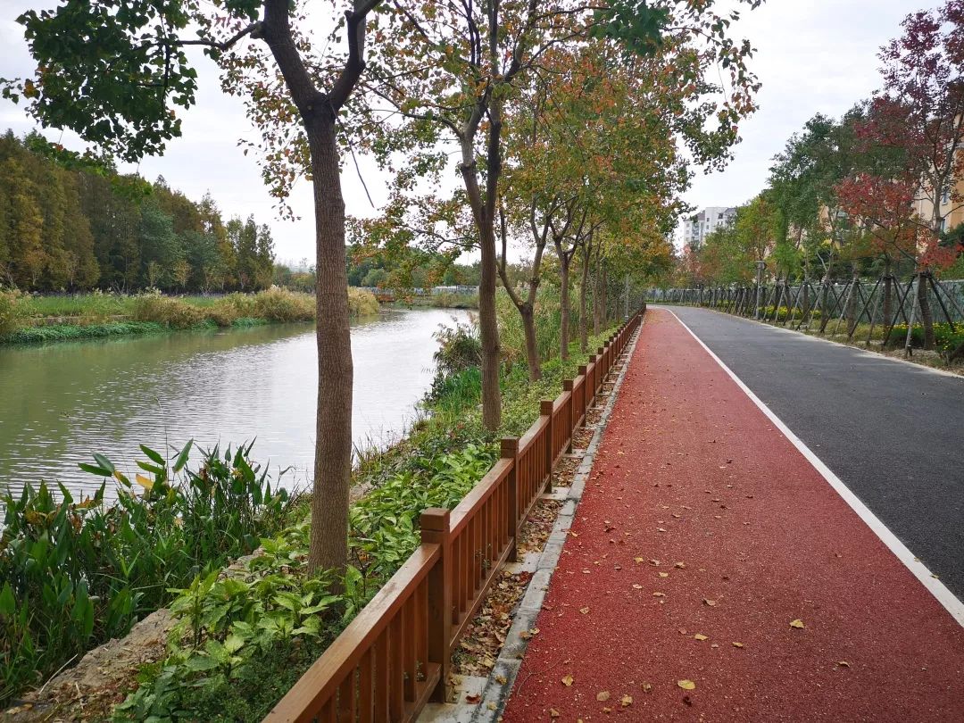 長寧這段河道生態景觀建成了雨水花園親水平臺透水步道實景圖搶先看