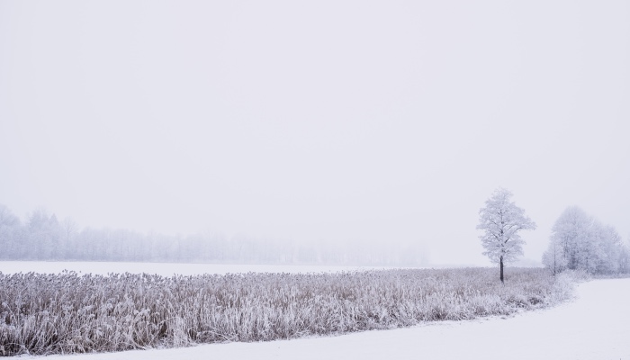 当家电卖出白菜价，白菜却卖出猪肉价，家电人怎么搞？-家电圈官网
