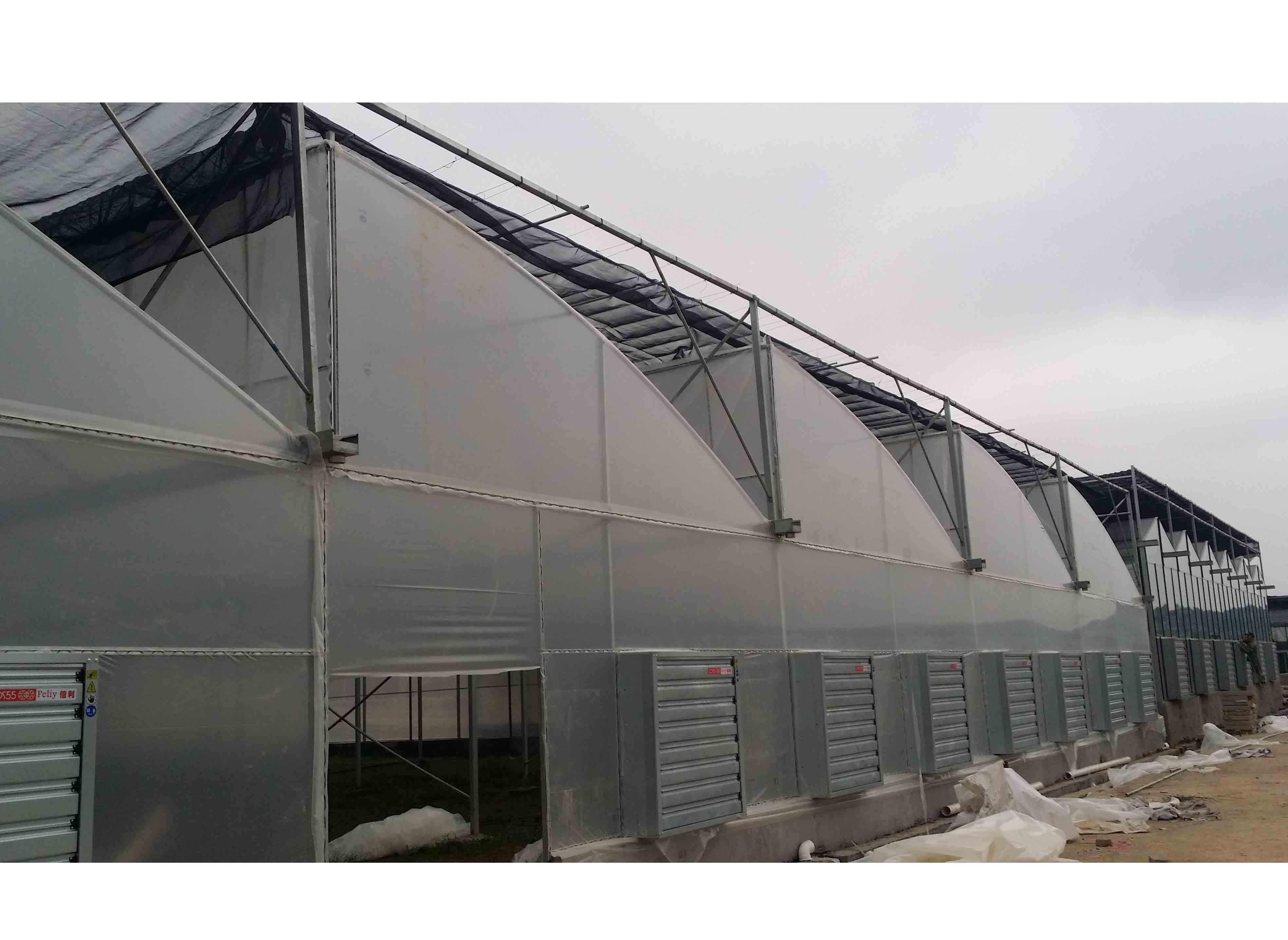 原创锯齿温室技术设计方案经济节能生产之利器