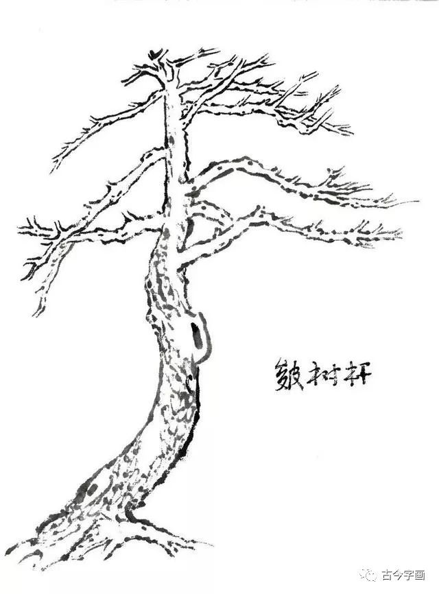 松树的基本画法