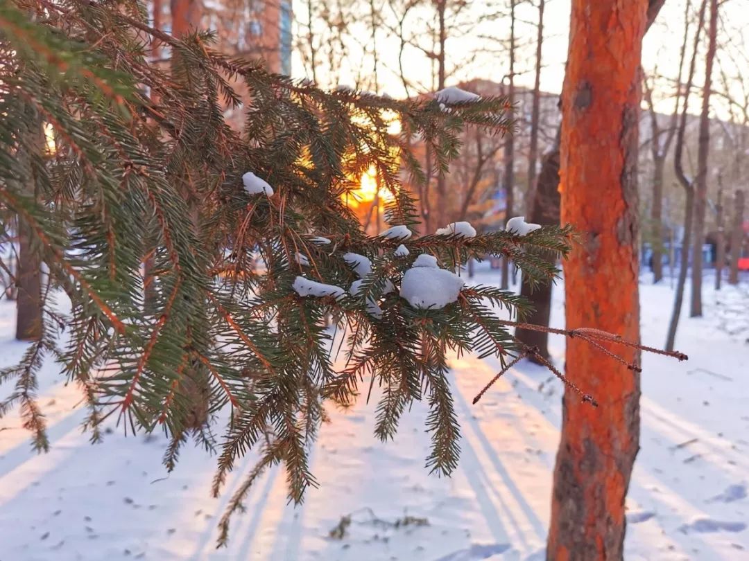 化資時光我慢慢地聽雪落下的聲音