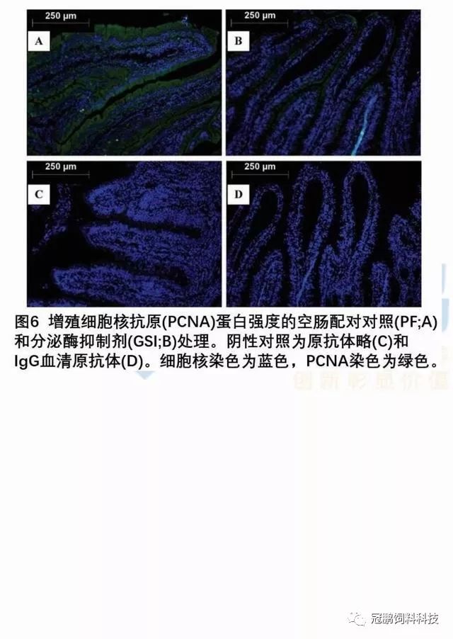 免疫熒光染色統計分析結果(2/3)*討論(3/3)*結論(3/3)