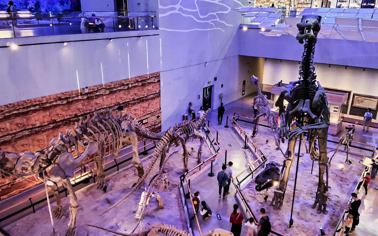 广东省博物馆之旅遇见恐龙?到底是怎么回事_展览