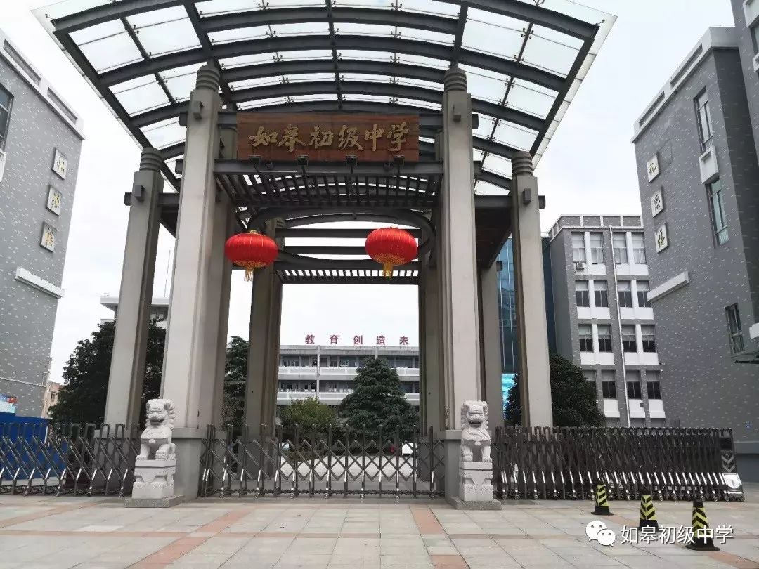 在如皋打造专业网站：技术与服务并重
