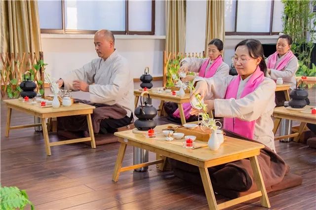 初级三日禅|禅修茶道 让我卸去伪装