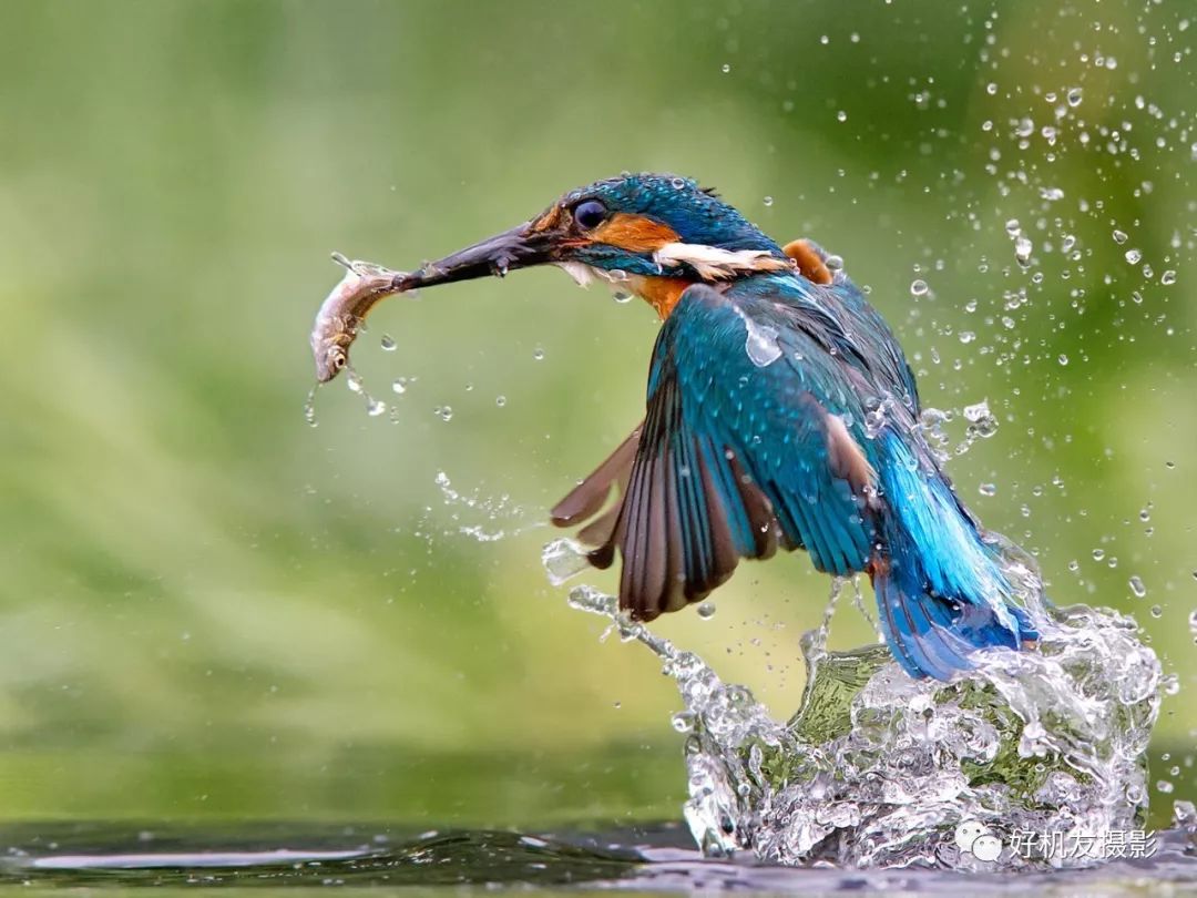 【器材使用】看过此文,完全,彻底掌握tv,p,m三种曝光模式_快门