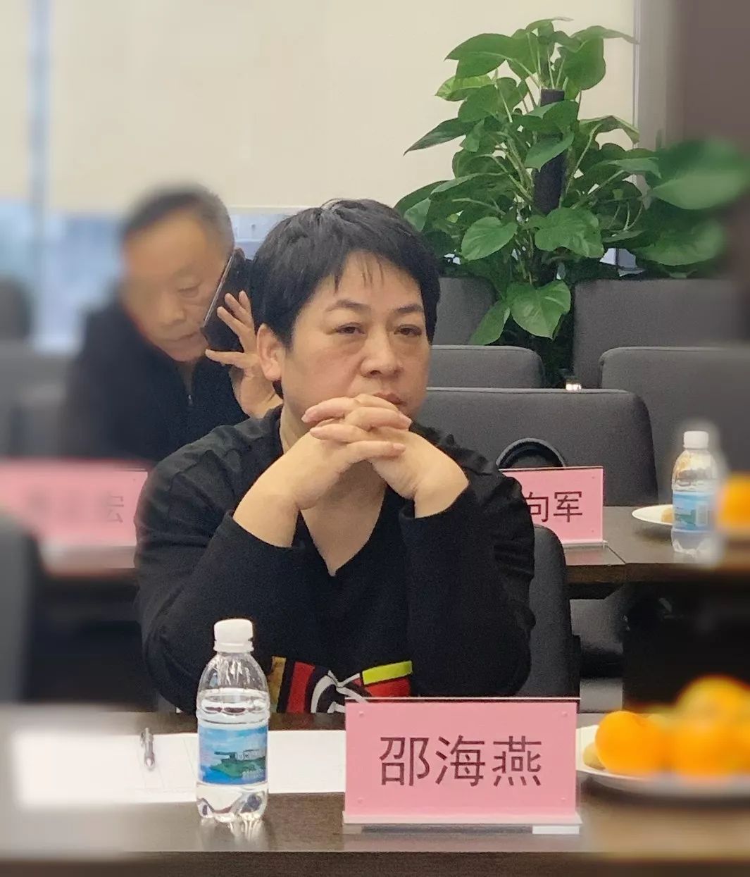 邵海燕:浙江萧海实业有限公司总经理天下杭商总会10月正式成立,致力于