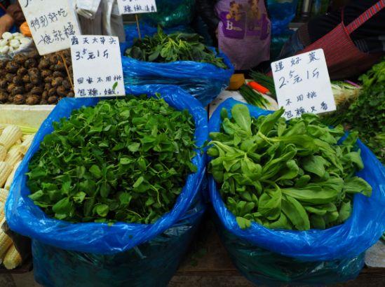 菜价跌啦一元菜重现普陀市场你买到了吗