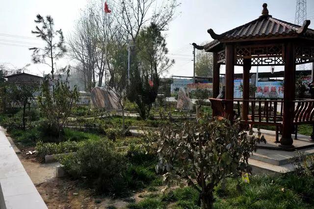 南阳市卧龙区石桥镇推进民生工作纪实筑牢群众幸福之基