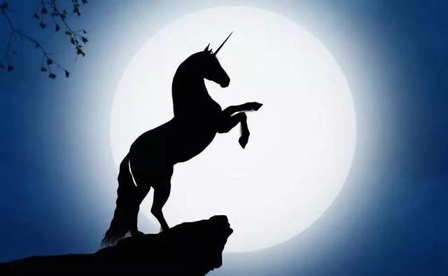 武汉的下一个独角兽