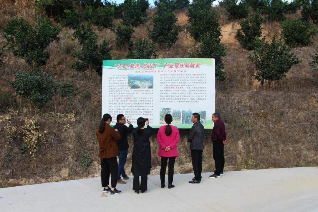 11月27日下午,县委常委,宣传部部长张文静一行到联合镇,调研尤溪联合