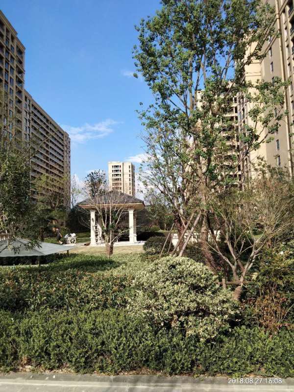 2019官网杭州临安【城中府】震撼来袭!