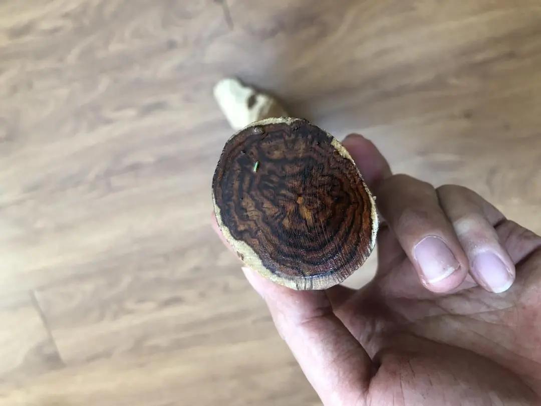 有一种赌叫海南黄花梨赌木解开海南黄花梨赌木的背后