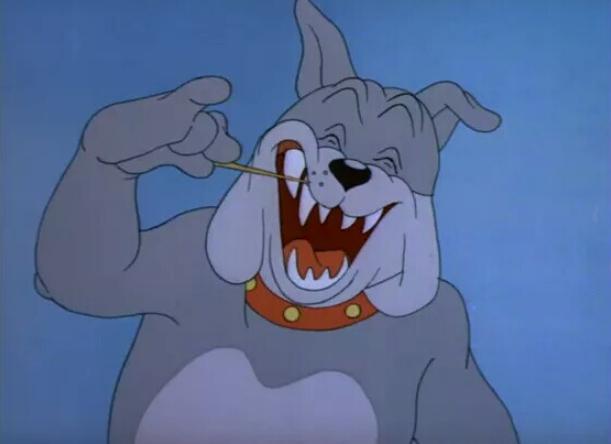 汤姆为什么不吃掉杰瑞如果没有杰瑞汤姆将会无家可归