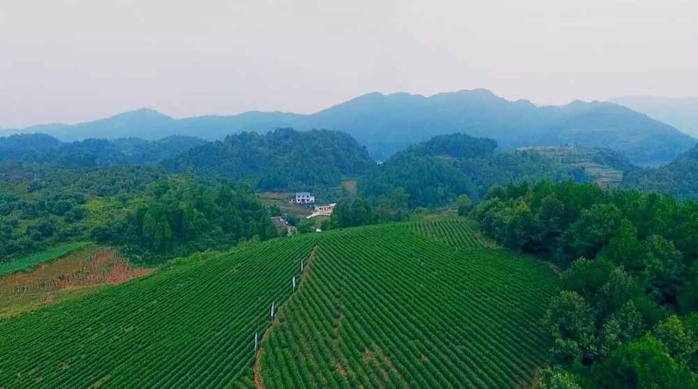 古镇泮水魅力西乡