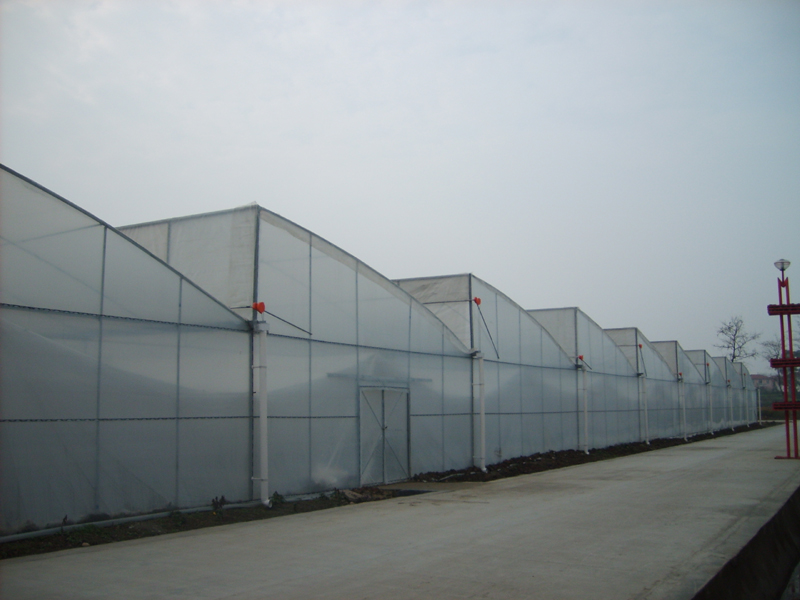 原创锯齿温室技术设计方案经济节能生产之利器