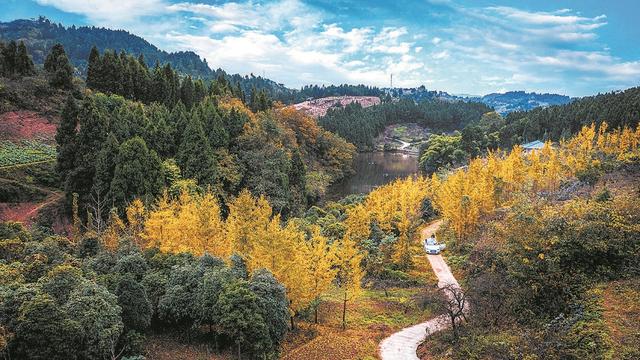 龙泉山寻景:如此寻常,如此动人