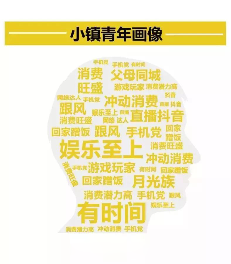 未来五年营销面对的主力人群95后和小镇青年