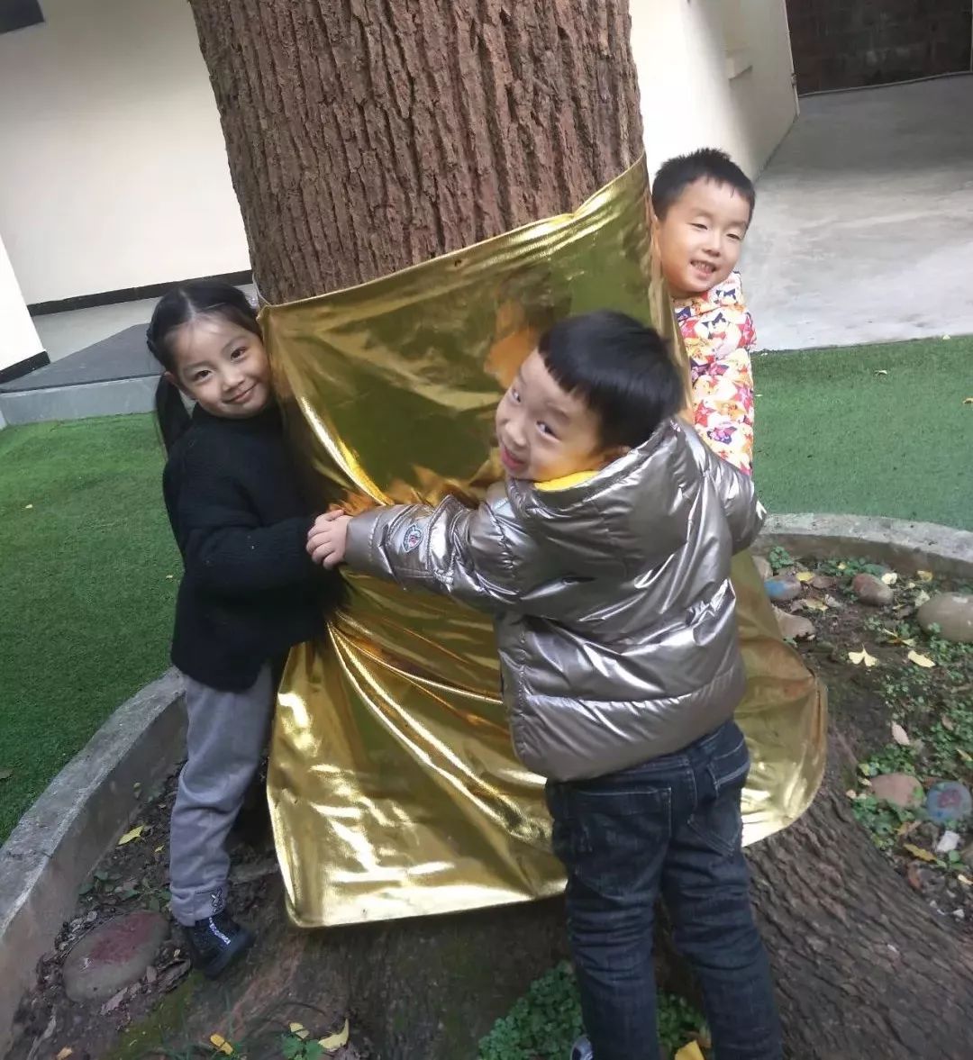 分园中三班的孩子们在这充满自然气息的幼儿园里走进大树拜访大树吧