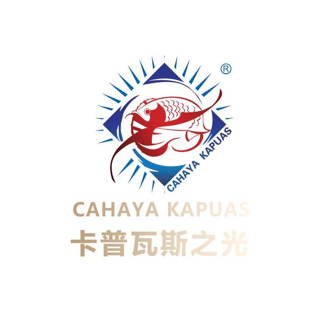 赛事2019长城杯世界龙鱼锦标赛成绩公布